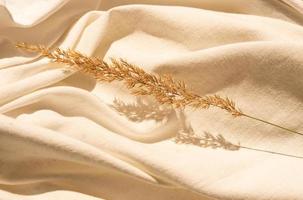 naturlig torkades vass blomma med löv på texturerad vit Linné textil- material. textil- platt lägga bakgrund med torkades blomma arrangemang och kopia Plats. organisk design. pastell färger foto