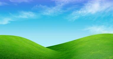 fält av gräs och perfekt himmel foto