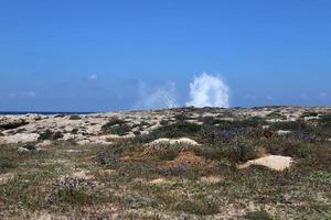 Medelhavets kust i norra Israel. foto