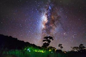 silhuett av träd och Vintergatan, lång exponeringsfotografi, med spannmål foto