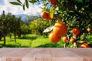 trä tabell topp plats av fri Plats för din dekoration och orange träd bakgrund foto