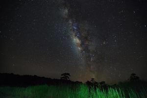 Vintergatan och silhuetten av trädet i nationalparken Phu Hin Rong Kla, Phitsanulok Thailand, fotografi med lång exponering. foto