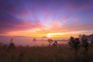 dimmig morgonsoluppgång i berg vid thung salang luang nationalpark phetchabun, thailand foto