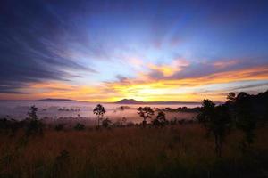dimmig morgonsoluppgång vid thung salang luang nationalpark phetchabun, thailand foto