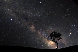 landskap med mjölkig sätt, natt himmel med stjärnor och silhuett av tall träd på hög berg. foto