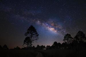 landskap med mjölkig sätt galax, natt himmel med stjärnor och silhuett av tall träd foto