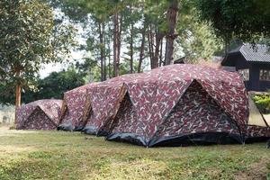 kupol tält camping på sväng salang luang nationell parkera Phetchabun, Thailand foto