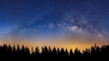 panorama landskap med mjölkig sätt, natt himmel med stjärnor och silhuett av tall träd foto