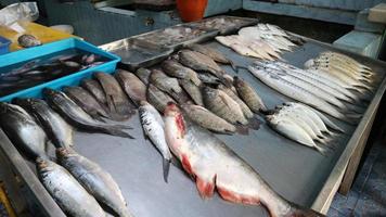 färsk hav fisk ordentligt anordnad för försäljning förbi ett av de traditionell fisk butiker i indonesien foto