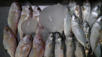 färsk hav fisk ordentligt anordnad för försäljning förbi ett av de traditionell fisk butiker i indonesien foto