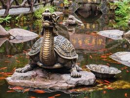 drake sköldpadda med de fisk i vatten pont på zhangjiajie nationell skog parkera i wulingyuan distrikt zhangjiajie stad Kina i de dimmig dag. foto