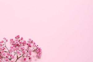 elegant blommig mjuk rosa sammansättning. skön blommor på pastell rosa bakgrund. foto
