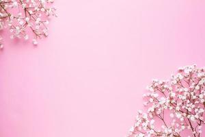 blommig ram av vit blommor på rosa pastell tabell topp se och platt lägga stil. mode sommar Färg. foto