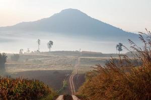 grusväg som leder genom den tidiga vårskogen på en dimmig morgon vid khao takhian ngo utsiktspunkt vid khao-kho phetchabun, thailand foto
