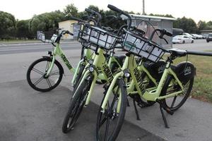 Cyklar för hyra på de strand, sankt petersburg 08 2022 foto