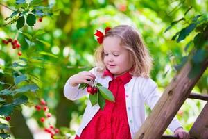 söt liten flicka som plockar färskt körsbärsbär i trädgården