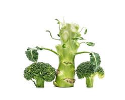 broccoli isolerad på vit bakgrund foto