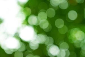 naturlig grön bokeh abstrakt bakgrund, suddig struktur foto