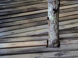stänga upp detalj trä- bro på de skog mangrove, bakgrund textur foto