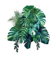 olika gröna monstera blad mönster för natur koncept, uppsättning tropiska löv isolerad på vit bakgrund foto