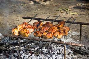 fläsk kebab shashlik grillspett utegrill på picknick foto