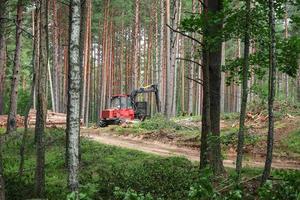 röd skog maskin den där rensar träd i grön sommar skog stående nära sandig väg omgiven förbi växande träd trunkar foto