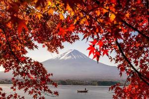 mt. fuji på hösten med röda lönnlöv foto