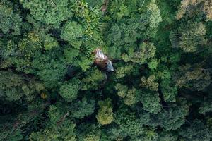 vattenfall i tropisk skog, vattenfall i djungel foto