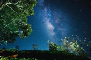 natt scen mjölkig sätt bakgrund, träd mot himmel på natt foto