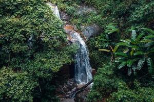 vattenfall i tropisk skog, vattenfall i djungel foto