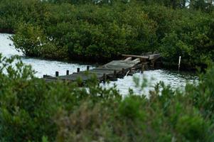 träsk promenaden förstörelse foto