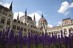 budapest, parlamentets utsikt, hungary