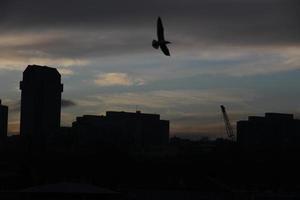 istanbul i Turkiet foto