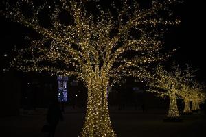 trä i kransar på natt. parkera dekoration. massor av lampor på träd. foto