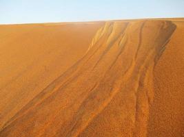 vågor av sand textur. sanddyner av de öken. öken- sanddyner solnedgång landskap. foto