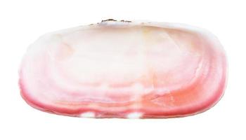 tömma rosa skal av mussla isolerat på vit foto