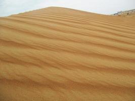 vågor av sand textur. sanddyner av de öken. öken- sanddyner solnedgång landskap. foto