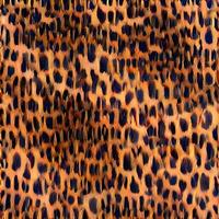 leopard rundor silke scarf design, mode textil. foto