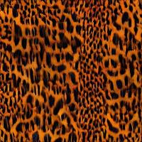 leopard rundor silke scarf design, mode textil. foto