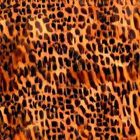 leopard rundor silke scarf design, mode textil. foto