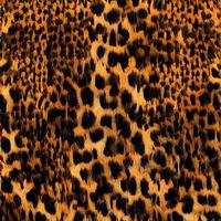 leopard rundor silke scarf design, mode textil. foto