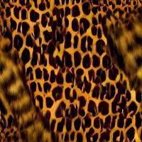 leopard rundor silke scarf design, mode textil. foto