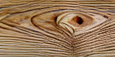 trä textur bakgrund. topp se av årgång trä- tabell med sprickor. ljus brun yta av gammal knölig trä med naturlig Färg foto