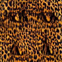 leopard rundor silke scarf design, mode textil. foto