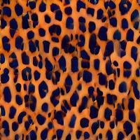 leopard rundor silke scarf design, mode textil. foto