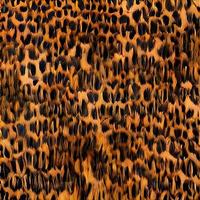 leopard rundor silke scarf design, mode textil. foto