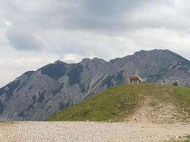 de bavarian alps foto