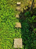 rektangulär stenläggning sten trottoar för gångvägar former en väg i de grön gräs av en parkera eller trädgård, detta stenläggning sten trottoar är tillverkad av gjuten cement. foto