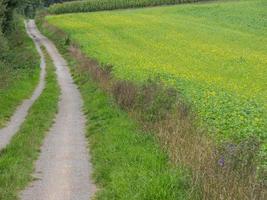 vandring i de tysk baumberge foto