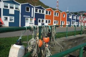 ön helgoland foto